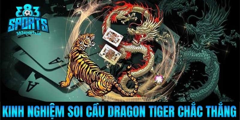 Kinh nghiệm soi cầu Dragon Tiger chắc thắng