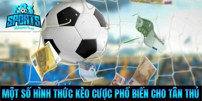 Một số hình thức kèo cược phổ biến cho tân thủ