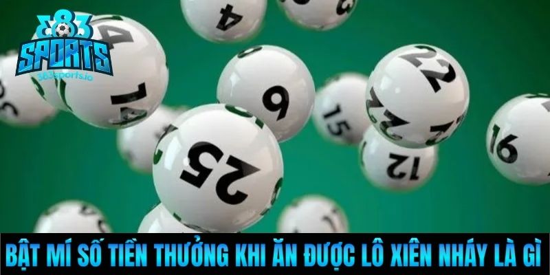 Bật mí số tiền thưởng khi ăn được lô xiên nháy là gì